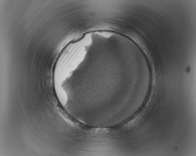 X0000115390858200912011227