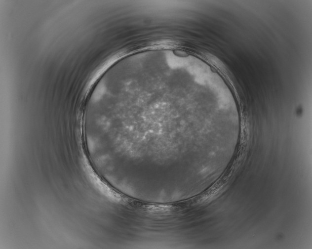 X0000115390859200912011227