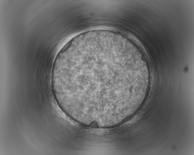 X0000115390860200912011227