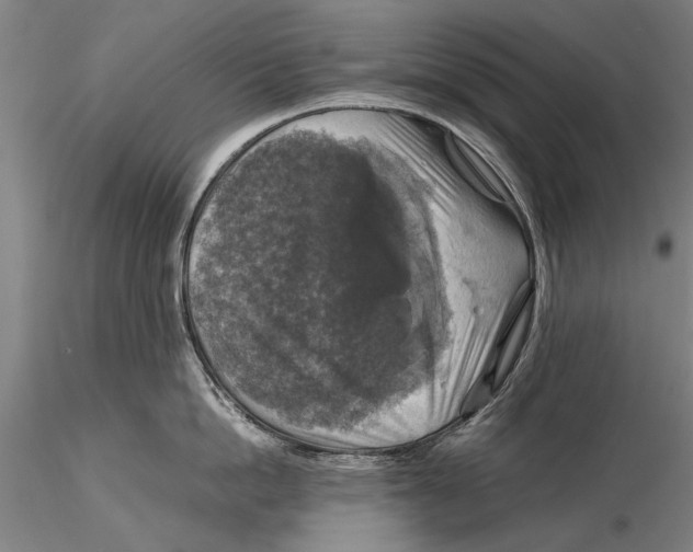 X0000115390862200912011227