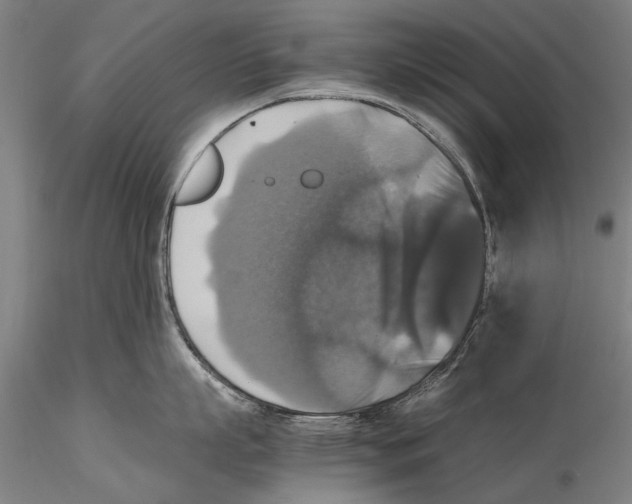 X0000115390863200912011227