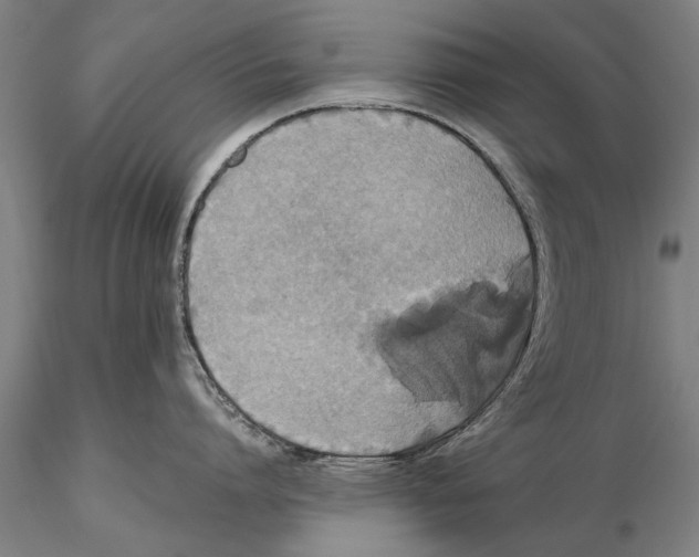 X0000115390864200912011227