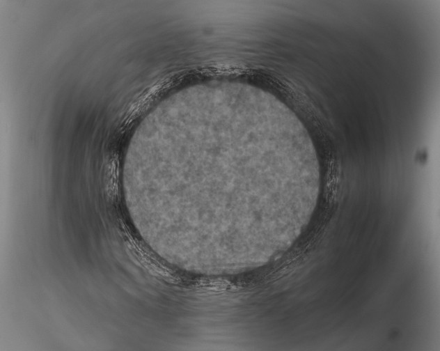 X0000115390866200912011226