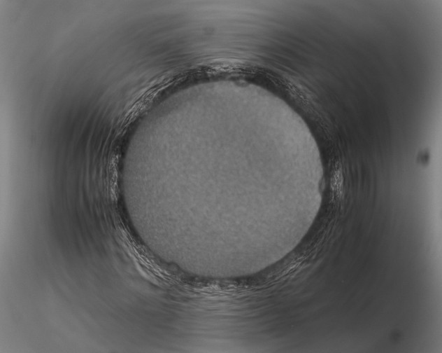 X0000115390868200912011226