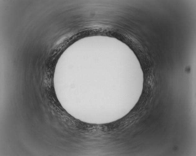 X0000115390869200912011226