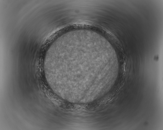 X0000115390870200912011226