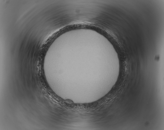 X0000115390872200912011226