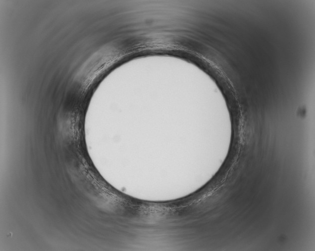 X0000115390873200912011226