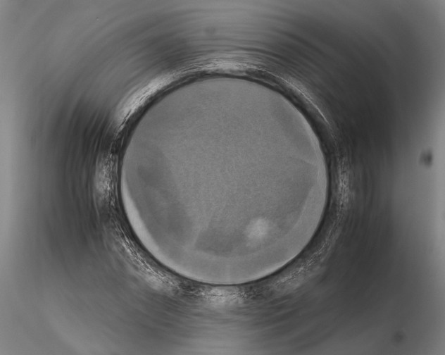 X0000115390874200912011226