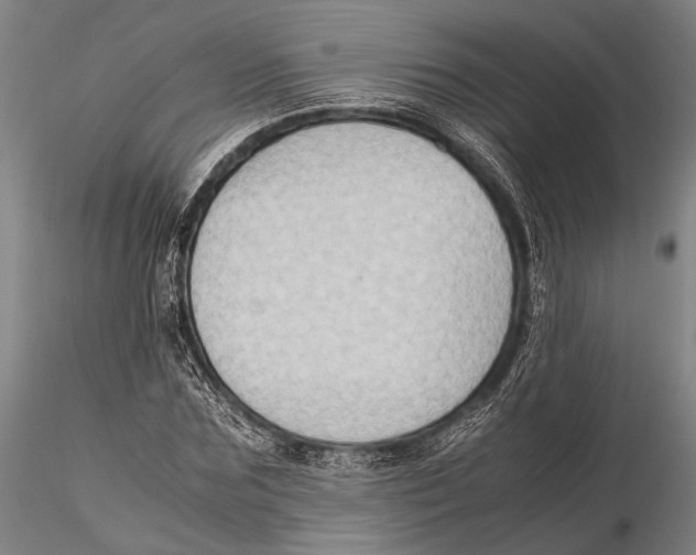 X0000115390875200912011226