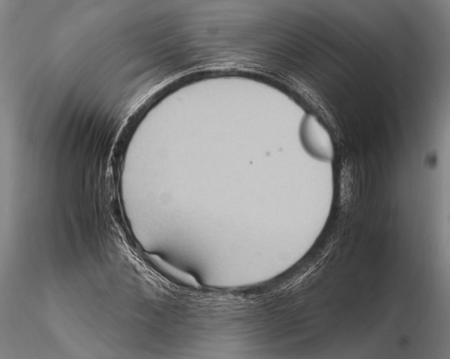 X0000115390876200912011226