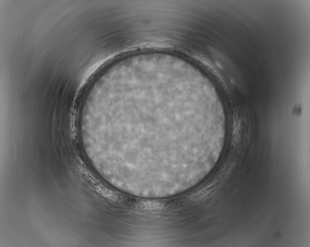 X0000115390878200912011226