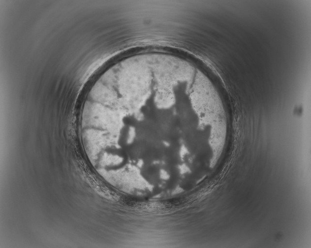 X0000115390879200912011226