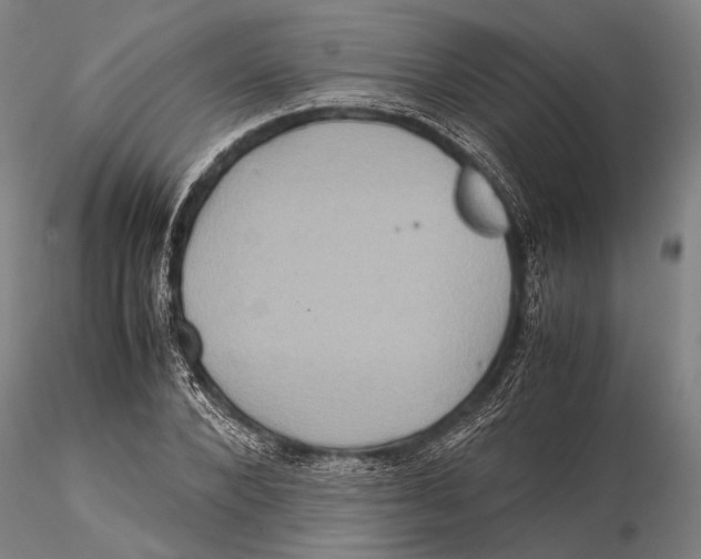 X0000115390880200912011226