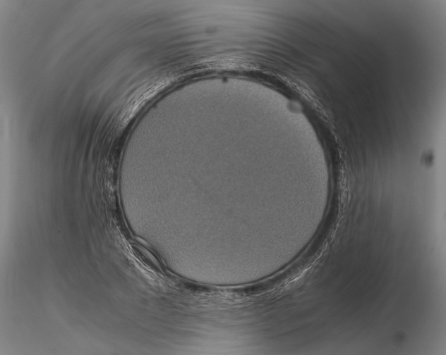 X0000115390881200912011226