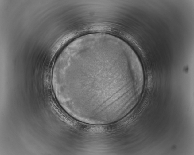 X0000115390882200912011226