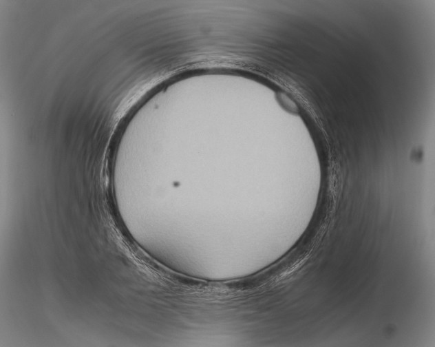 X0000115390885200912011226