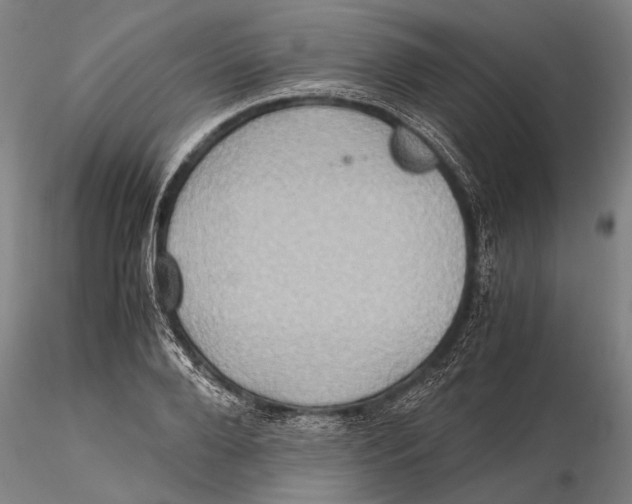 X0000115390888200912011226