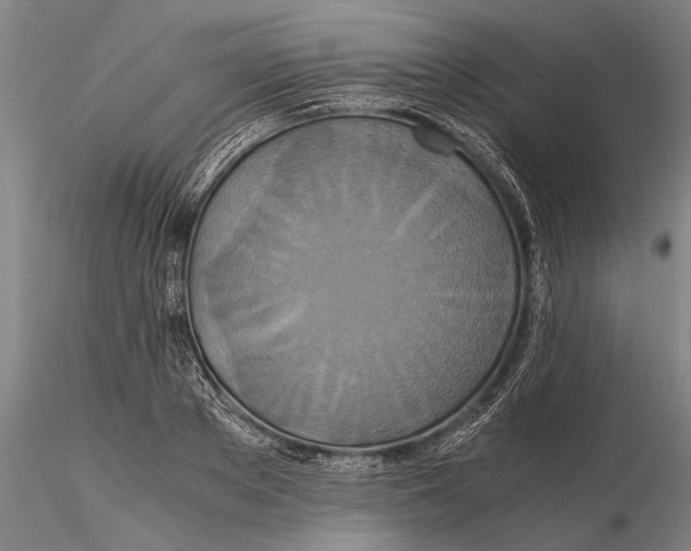 X0000115390889200912011226