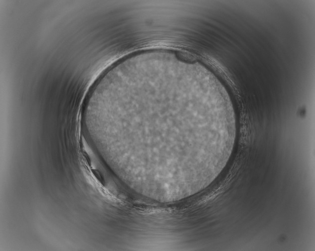 X0000115390892200912011226