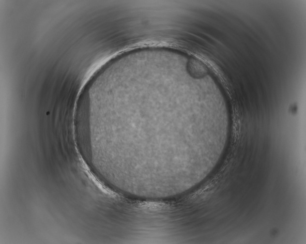 X0000115390894200912011226