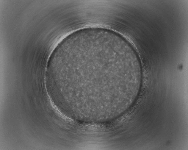 X0000115390895200912011226