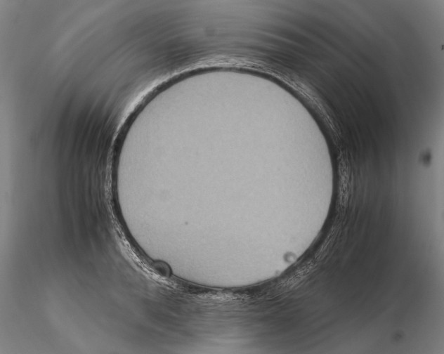 X0000115390896200912011226