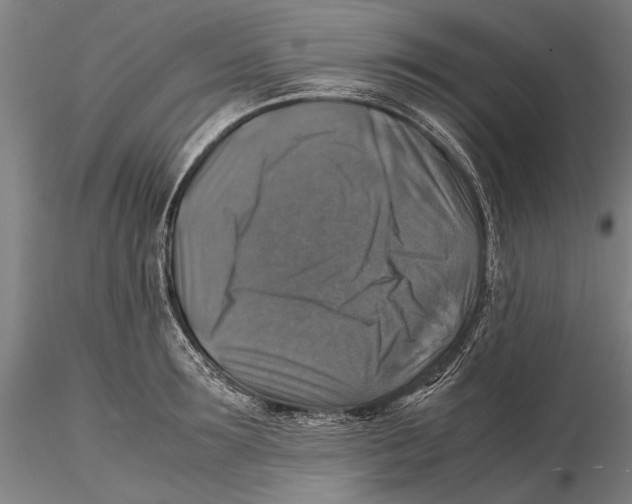 X0000115390899200912011225