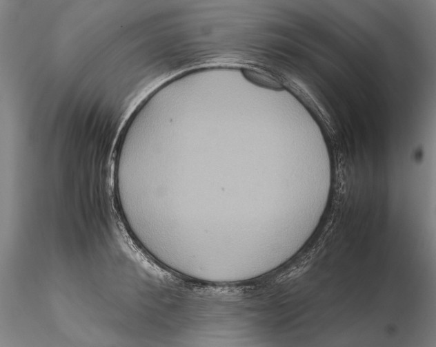 X0000115390900200912011225