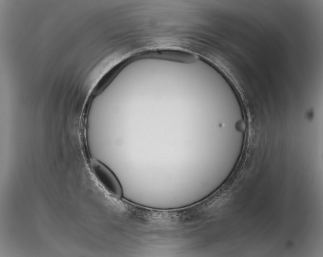 X0000115390901200912011225