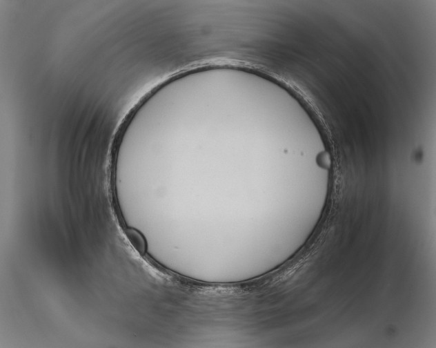 X0000115390902200912011225