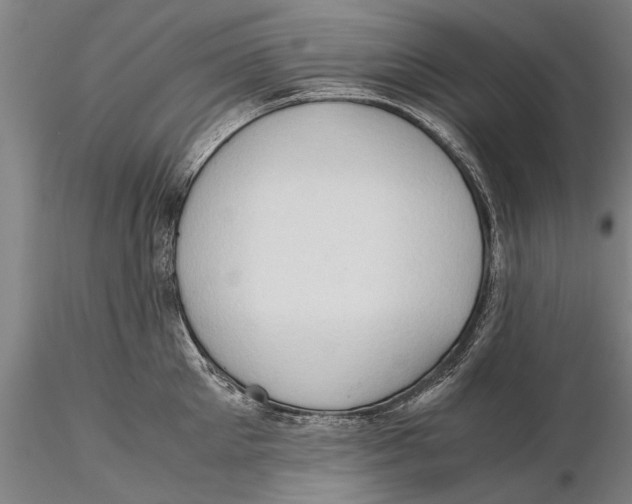 X0000115390905200912011225