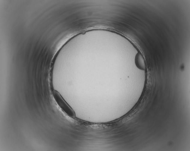 X0000115390906200912011225