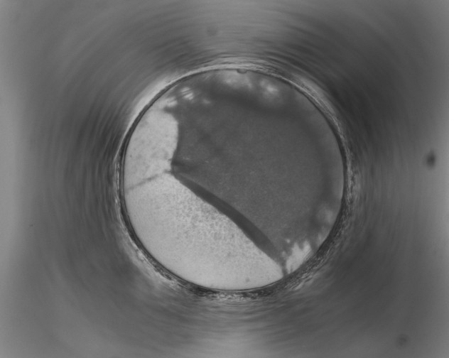 X0000115390907200912011225