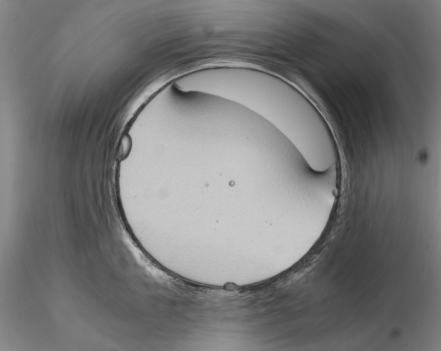 X0000115390909200912011225