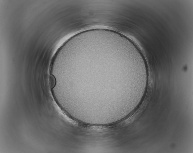 X0000115390910200912011225