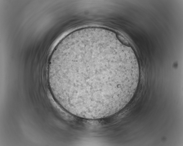 X0000115390911200912011225