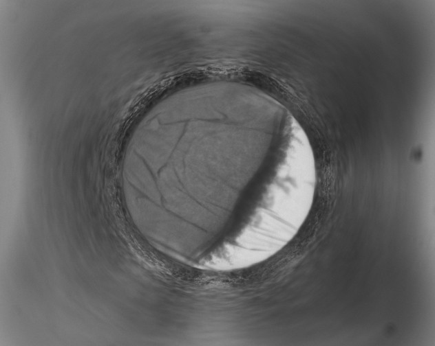 X0000115390913200912011225