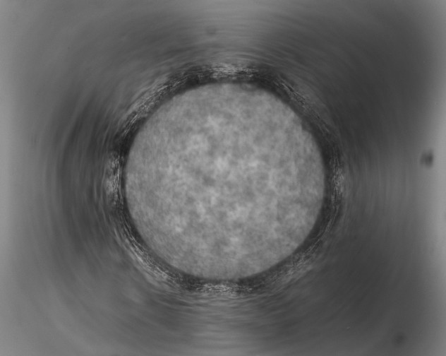 X0000115390914200912011225