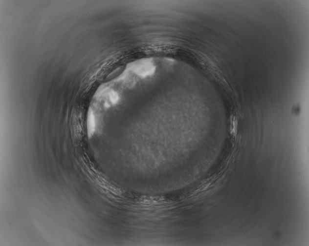 X0000115390915200912011225