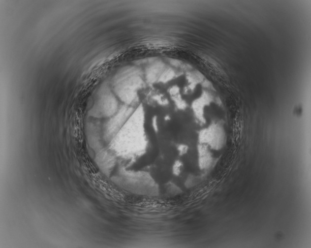 X0000115390917200912011225