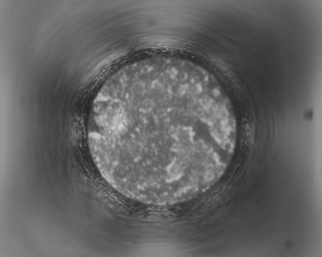 X0000115390918200912011225