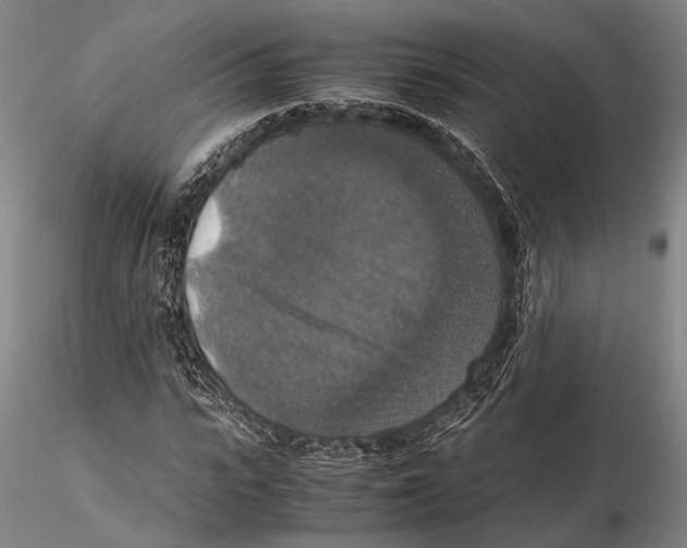 X0000115390919200912011225