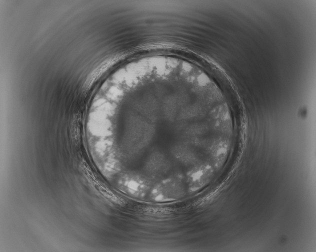 X0000115390921200912011225