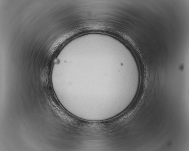 X0000115390922200912011225