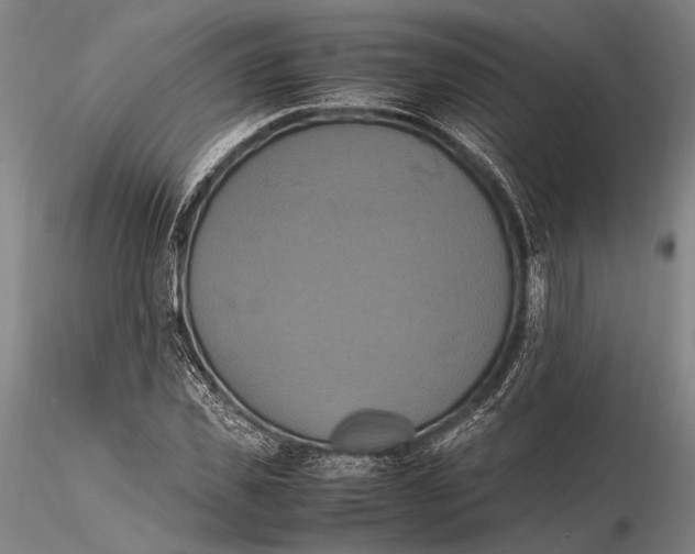 X0000115390925200912011225