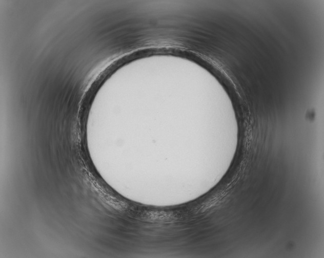 X0000115390927200912011225