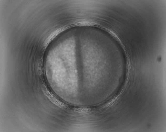 X0000115390930200912011225