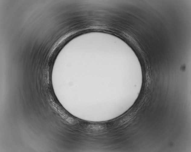 X0000115390931200912011225