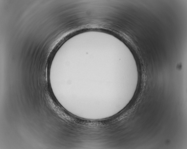 X0000115390934200912011225